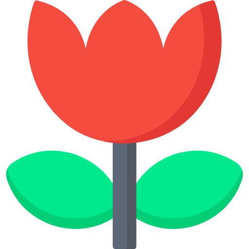 Macro icon