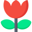 Macro icon 64x64