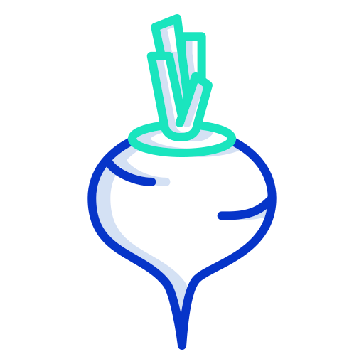 Beetroot icon