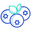 Blueberry icon 64x64