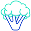 Broccoli icon 64x64