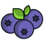 Blueberry icon 64x64
