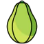 Papaya icon 64x64