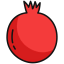 Pomegranate icon 64x64