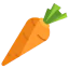 Carrot icon 64x64