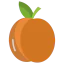 Apricot icon 64x64
