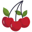 Berry icon 64x64