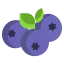 Blueberry icon 64x64