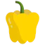 Capsicum icon 64x64