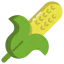 Corn icon 64x64