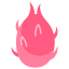 Dragon fruit icon 64x64