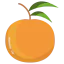 Orange icon 64x64