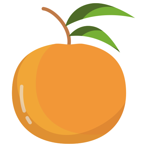 Orange icon