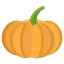 Pumpkin icon 64x64