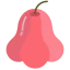 Rose apple 상 64x64