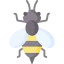 Bee icon 64x64