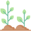 Sprout icon 64x64