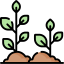 Sprout icon 64x64