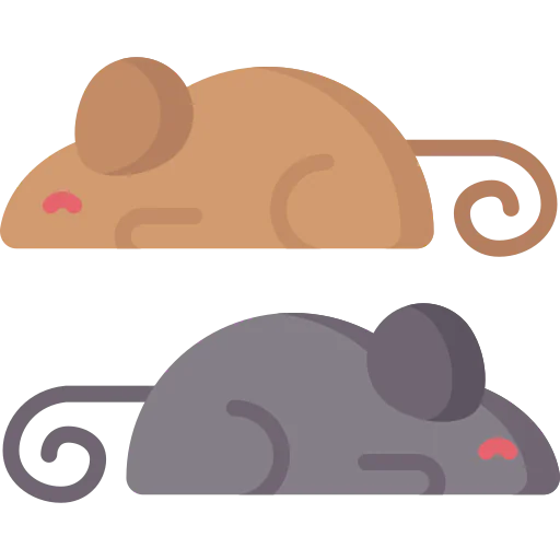 Animals icon