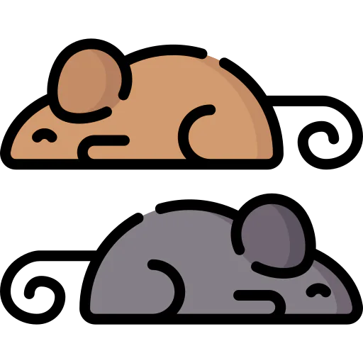 Animals icon