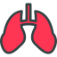 Lungs icon 64x64