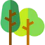 Forest icon 64x64