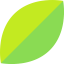 Leaf icon 64x64