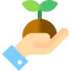 Sprout icon 64x64