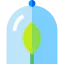 Plant icon 64x64