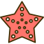Starfish icon 64x64