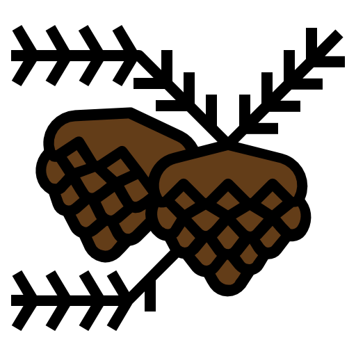 Pine cone icon