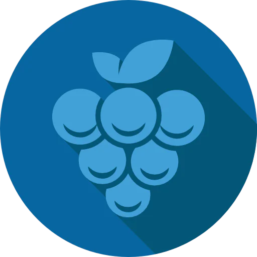 Grape icon