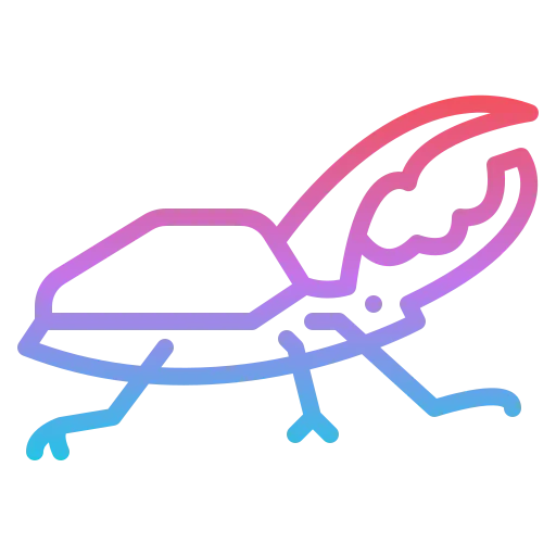 Beetle icon