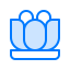 Lotus icon 64x64