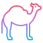 Camel icon 64x64