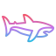 Shark icon 64x64