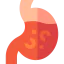Stomachache icon 64x64