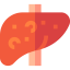 Cirrhosis icon 64x64