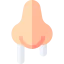 Runny nose icon 64x64