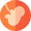Fetus icon 64x64