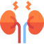 Kidney icon 64x64
