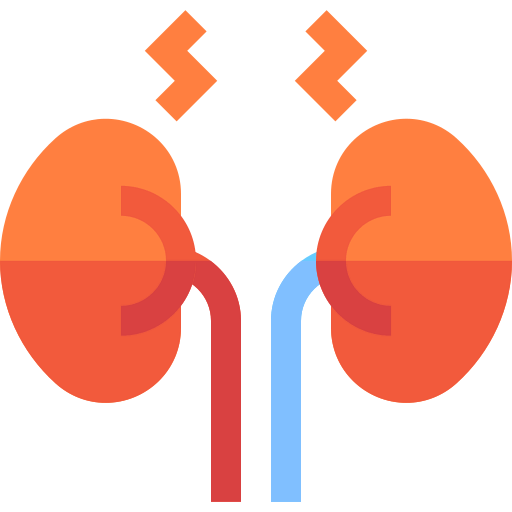 Kidney icon