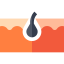 Dermathology icon 64x64