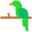 Parrot 图标 64x64
