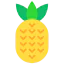 Pineapple 图标 64x64