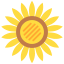 Sunflower 图标 64x64