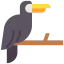 Toucan 图标 64x64