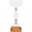 Trophy icon 64x64