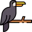 Toucan ícono 64x64