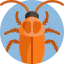 American cockroach icône 64x64